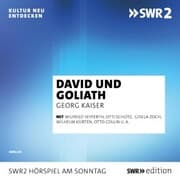 Cover von David und Goliath