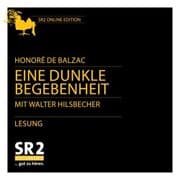 Cover von Eine dunkle Begebenheit