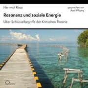 Cover von Resonanz und soziale Energie