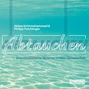 Cover von Abtauchen