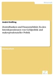 Cover von Zentralbanken und Finanzstabilität: Zu den Interdependenzen von Geldpolitik und makroprudenzieller Politik