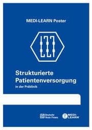 Cover von Strukturierte Patientenversorgung Präklinik