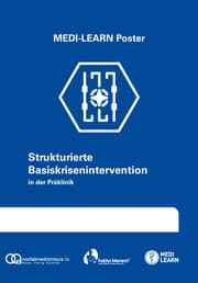 Cover von Strukturierte Basiskrisenintervention in der Präklinik