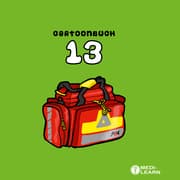 Cover von Cartoonbuch 13