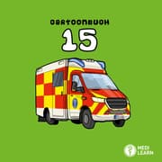 Cover von Cartoonbuch 15