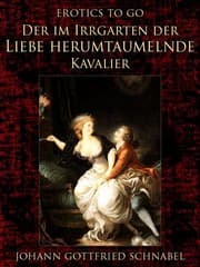 Cover von Der im Irrgarten der Liebe herumtaumelnde Kavalier
