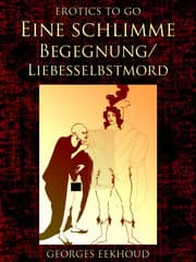 Cover von Eine schlimme Begegnung/Liebesselbstmord
