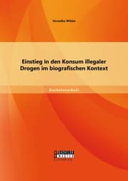 Cover von Einstieg in den Konsum illegaler Drogen im biografischen Kontext