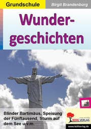 Cover von Wundergeschichten