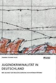 Cover von Jugendkriminalität in Deutschland. Wie gelingt die Resozialisierung von Intensivtätern?