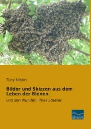 Cover von Bilder und Skizzen aus dem Leben der Bienen
