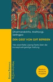 Cover von DEN GEIST VON GIFT BEFREIEN