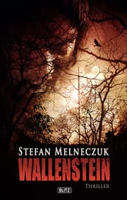 Cover von Wallenstein