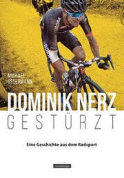 Cover von Dominik Nerz - Gestürzt