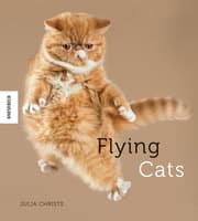 Cover von Flying Cats