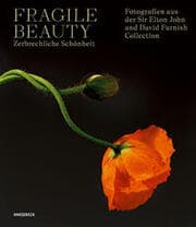 Cover von Fragile Beauty - zerbrechliche Schönheit