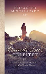 Cover von Wunderbar geleitet