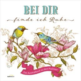 Cover von Bei dir finde ich Ruhe