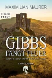Cover von Gibbs fängt Feuer