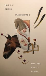 Cover von wundgewähr