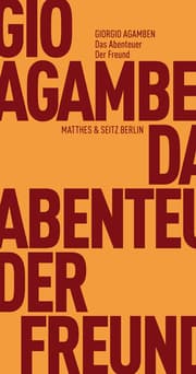 Cover von Das Abenteuer. Der Freund