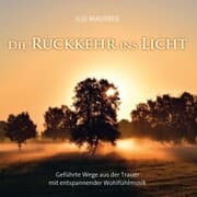 Cover von Die Rückkehr ins Licht