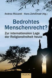 Cover von Bedrohtes Menschenrecht?