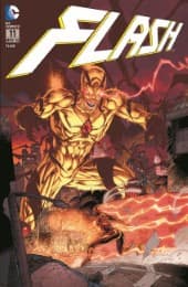 Cover von Flash 11