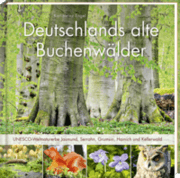 Cover von Deutschlands alte Buchenwälder