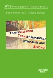Cover von Transgressions/Transformations: Literature and Beyond