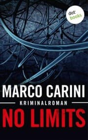 Cover von No Limits