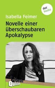 Cover von Novelle einer überschaubaren Apokalypse - Literatur-Quickie