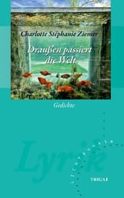 Cover von Draußen passiert die Welt