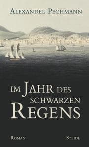 Cover von Im Jahr des schwarzen Regens