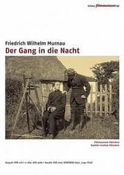 Cover von Der Gang in die Nacht