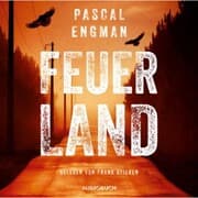 Cover von Feuerland (ungekürzt)