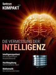 Cover von Spektrum Kompakt - Die Vermessung der Intelligenz