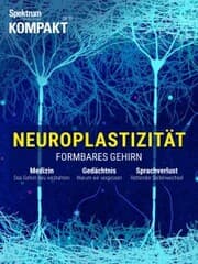 Cover von Spektrum Kompakt - Neuroplastizität