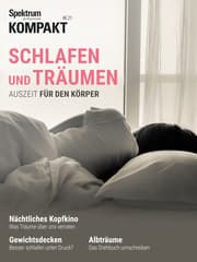Cover von Schlafen und Träumen