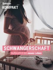 Cover von Spektrum Kompakt - Schwangerschaft