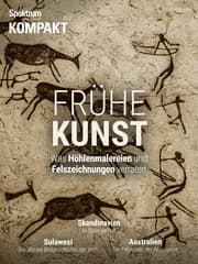 Cover von Spektrum Kompakt - Frühe Kunst