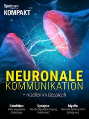 Cover von Spektrum Kompakt - Neuronale Kommunikation
