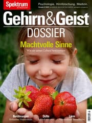 Cover von Gehirn&Geist Dossier - Machtvolle Sinne