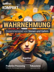 Cover von Spektrum Kompakt - Wahrnehmung