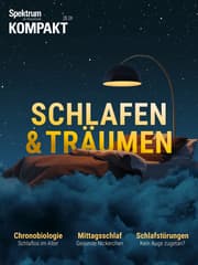 Cover von Spektrum Kompakt - Schlafen und Träumen