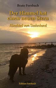Cover von Der Himmel hat einen neuen Stern