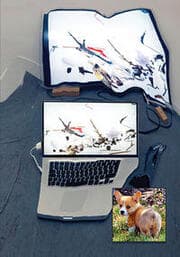 Cover von Ian Cheng.Live Simulations