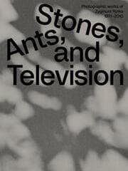 Cover von Zygmunt Rytka: Stones, Ants, and Television