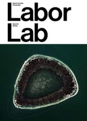 Cover von Sarah Ancelle Schönfeld: Labor Lab