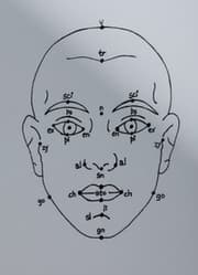 Cover von Megan Williams, Sheung Yiu: (Inter)Faces of Predictions